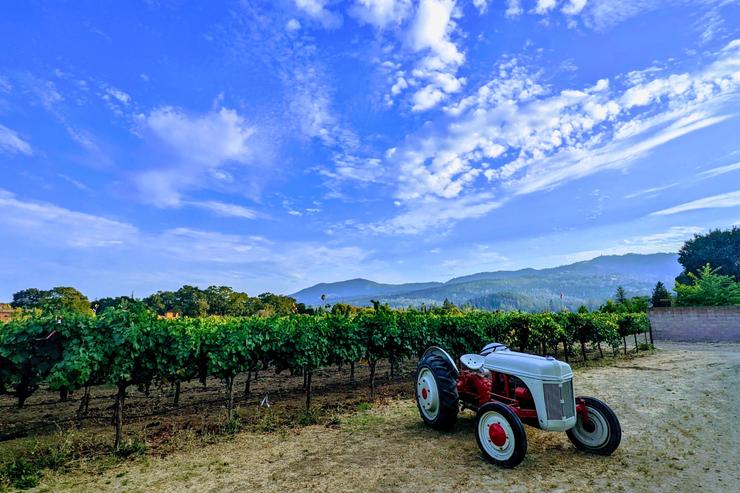 California Photography Print, Napa Valley, Wall Art, Landscape Photography, Large Wall Art, Nature, Home/Office Decor