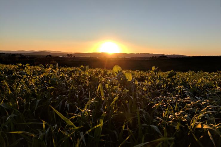 California Photography Print, Napa Valley, Mountain Wall Art, Sunset Landscape Photography, Large Wall Art, Nature, Home/Office Decor