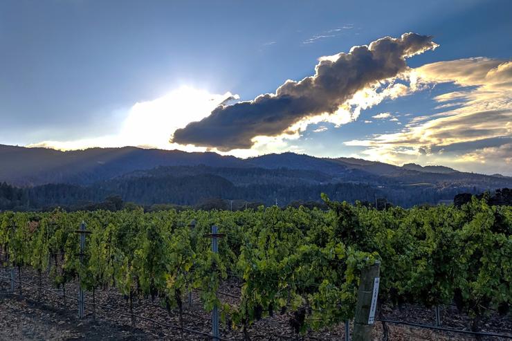 California Photography Print, Napa Valley Vineyards, Mountain Wall Art, Sunset Landscape, Large Wall Art, Nature, Home/Office Decor